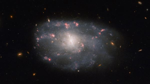 Звёзды неправильной галактики на новом фото “Хаббла”